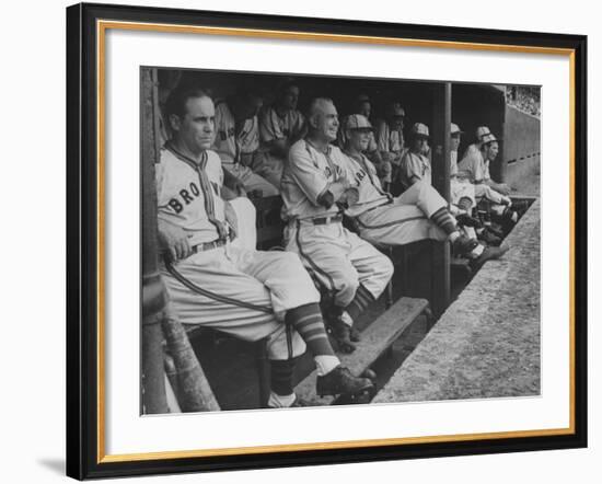St. Louis Browns Players Sitting in the Dug Out During a Game-Peter Stackpole-Framed Premium Photographic Print