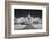 St Louis IR-John Gusky-Framed Photographic Print