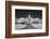 St Louis IR-John Gusky-Framed Photographic Print