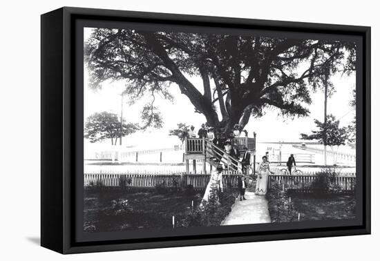 St. Louis, Mississippi-William Henry Jackson-Framed Stretched Canvas