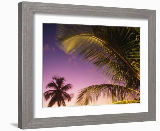 St Lucia, Sunset Through Palms on the Island of St Lucia, Caribbean-Paul Harris-Framed Photographic Print