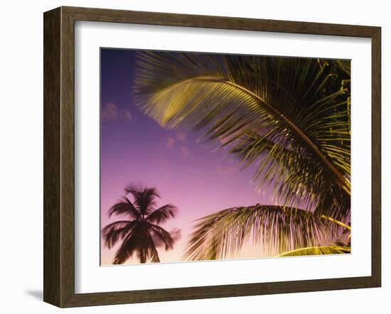 St Lucia, Sunset Through Palms on the Island of St Lucia, Caribbean-Paul Harris-Framed Photographic Print