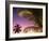 St Lucia, Sunset Through Palms on the Island of St Lucia, Caribbean-Paul Harris-Framed Photographic Print