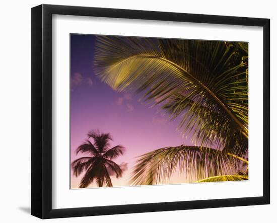 St Lucia, Sunset Through Palms on the Island of St Lucia, Caribbean-Paul Harris-Framed Photographic Print