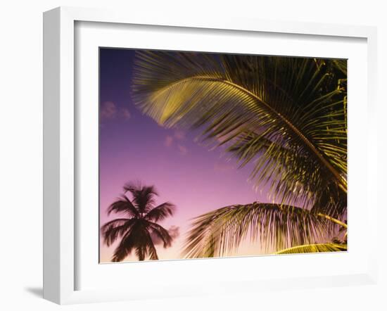 St Lucia, Sunset Through Palms on the Island of St Lucia, Caribbean-Paul Harris-Framed Photographic Print