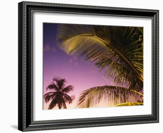 St Lucia, Sunset Through Palms on the Island of St Lucia, Caribbean-Paul Harris-Framed Photographic Print