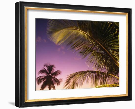 St Lucia, Sunset Through Palms on the Island of St Lucia, Caribbean-Paul Harris-Framed Photographic Print