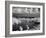 St. Lucia-J.D. Mcfarlan-Framed Photographic Print