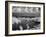 St. Lucia-J.D. Mcfarlan-Framed Photographic Print