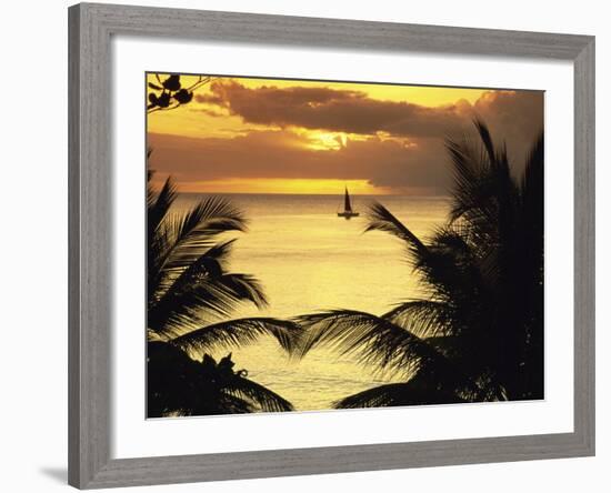 St. Lucia-null-Framed Photographic Print