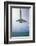 St. Maarten Airport, Netherlands Antilles-Paul Souders-Framed Photographic Print