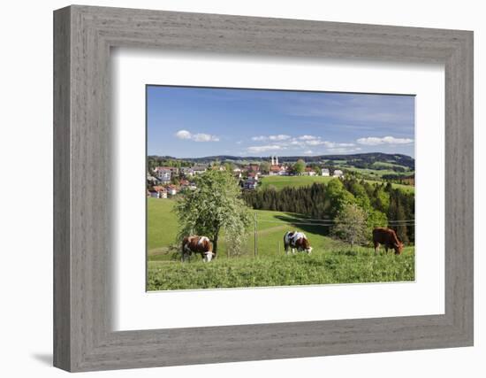 St. Maergen, Spring, Glottertal Valley, Black Forest, Baden Wurttemberg, Germany-Markus Lange-Framed Photographic Print