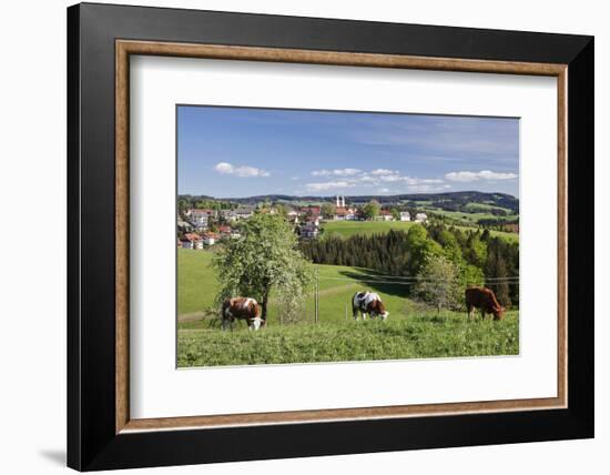 St. Maergen, Spring, Glottertal Valley, Black Forest, Baden Wurttemberg, Germany-Markus Lange-Framed Photographic Print