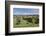 St. Maergen, Spring, Glottertal Valley, Black Forest, Baden Wurttemberg, Germany-Markus Lange-Framed Photographic Print