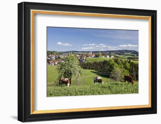 St. Maergen, Spring, Glottertal Valley, Black Forest, Baden Wurttemberg, Germany-Markus Lange-Framed Photographic Print