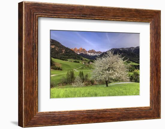 St. Magdalena and the Odle Group. Funes Valley South Tyrol Dolomites Italy Europe-ClickAlps-Framed Photographic Print