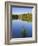 St. Mang Monastery and Basilica Reflected in the River Lech, Fussen, Bavaria (Bayern), Germany-Gary Cook-Framed Photographic Print