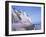 St. Margaret's at Cliffe, White Cliffs of Dover, Kent, England, United Kingdom-David Hughes-Framed Photographic Print