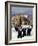 St. Mark's C.E. School Band-Margaret Loxton-Framed Giclee Print