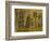 St Marks Basilica, Venice, 10th Century-null-Framed Photographic Print