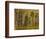 St Marks Basilica, Venice, 10th Century-null-Framed Photographic Print