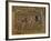 St Marks Basilica, Venice, 10th Century-null-Framed Photographic Print