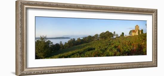 St. Marthas Church on a Misty Morning, St. Marthas Hill, Surrey Hills, North Down Way, Surrey, Engl-John Miller-Framed Photographic Print