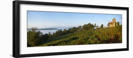 St. Marthas Church on a Misty Morning, St. Marthas Hill, Surrey Hills, North Down Way, Surrey, Engl-John Miller-Framed Photographic Print