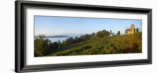 St. Marthas Church on a Misty Morning, St. Marthas Hill, Surrey Hills, North Down Way, Surrey, Engl-John Miller-Framed Photographic Print