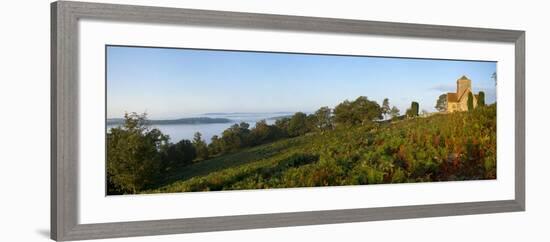 St. Marthas Church on a Misty Morning, St. Marthas Hill, Surrey Hills, North Down Way, Surrey, Engl-John Miller-Framed Photographic Print