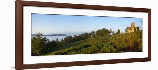 St. Marthas Church on a Misty Morning, St. Marthas Hill, Surrey Hills, North Down Way, Surrey, Engl-John Miller-Framed Photographic Print