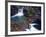 St Mary Falls in Glacier National Park, Montana, USA-Chuck Haney-Framed Photographic Print