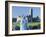 St. Mary Figurine, Quinn Abbey, County Clare, Ireland-William Sutton-Framed Photographic Print