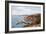 St Mawes, Nr. Falmouth-Alfred Robert Quinton-Framed Giclee Print