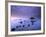 St Michael's Mount at Sunrise, from Marazion Beach, Cornwall, Uk. November 2008-Ross Hoddinott-Framed Photographic Print