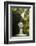 St Nectan'S Kieve, A Sixty Foot Waterfall, Saint Nectan'S Glen-Ross Hoddinott-Framed Photographic Print