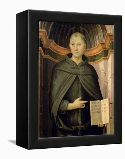 St. Nicholas of Tolentino-Pietro Perugino-Framed Premier Image Canvas