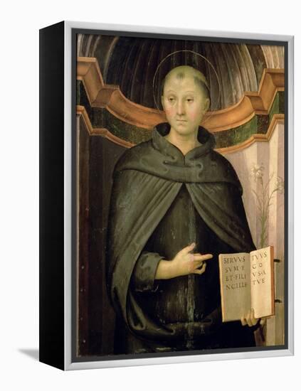 St. Nicholas of Tolentino-Pietro Perugino-Framed Premier Image Canvas