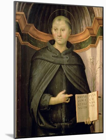 St. Nicholas of Tolentino-Pietro Perugino-Mounted Giclee Print