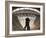 St. Pancras Station, London, England-Jon Arnold-Framed Photographic Print