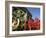 St. Patrick's Day Parade Celebrations, Dublin, Republic of Ireland (Eire)-Christian Kober-Framed Photographic Print