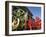 St. Patrick's Day Parade Celebrations, Dublin, Republic of Ireland (Eire)-Christian Kober-Framed Photographic Print