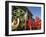 St. Patrick's Day Parade Celebrations, Dublin, Republic of Ireland (Eire)-Christian Kober-Framed Photographic Print