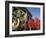 St. Patrick's Day Parade Celebrations, Dublin, Republic of Ireland (Eire)-Christian Kober-Framed Photographic Print