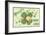 St. Patrick's Day, Pig and Shamrock-null-Framed Art Print