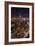 St. Patrick�S Day-Bruce Getty-Framed Photographic Print