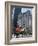 St. Patricks Day Celebrations in Front of the Plaza Hotel, 5th Avenue, Manhattan-Christian Kober-Framed Photographic Print