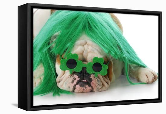 St Patricks Day Dog-Willee Cole-Framed Premier Image Canvas