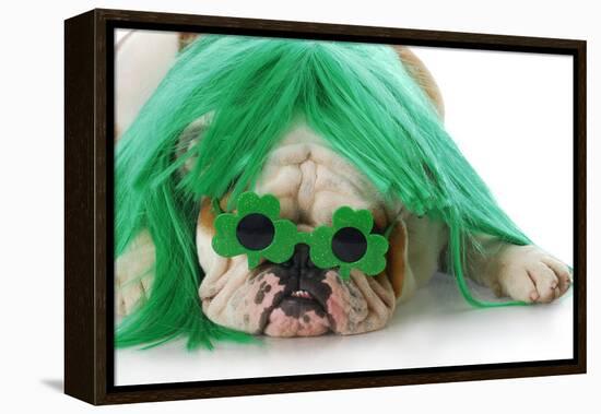 St Patricks Day Dog-Willee Cole-Framed Premier Image Canvas
