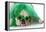 St Patricks Day Dog-Willee Cole-Framed Premier Image Canvas